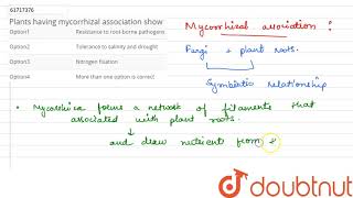 Plants having mycorrhizal association show [upl. by Adnuhsed]