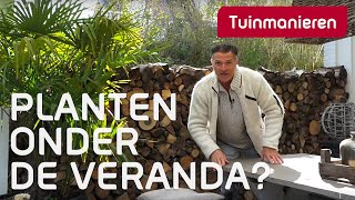 Kunnen planten onder de veranda  Tuinmanieren [upl. by Fawn]