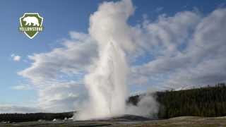 Old Faithful Geyser in Yellowstone National Park [upl. by Broddy]