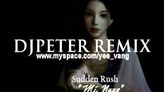 Sudden Rush  Mi Noog PeterRemix [upl. by Kary78]