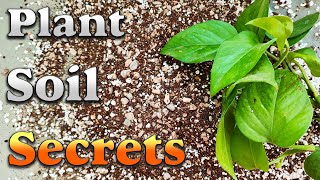 Pothos soil mix  The secret of money plant soil mix [upl. by Erusaert]