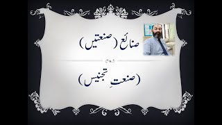 Sanat e tajnees definition types and examples  urdu grammer  صنعت تجنیس تعریف اور مثالیں [upl. by Nosnibor]