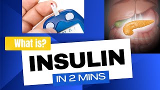 Insulin  How insulin works in 2mins [upl. by Ydniahs]