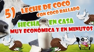 CÓMO PREPARAR LECHE DE COCO EN CASA   Coco Rallado  Leche vegetal SUPER ECONÓMICA [upl. by Oiliduab544]