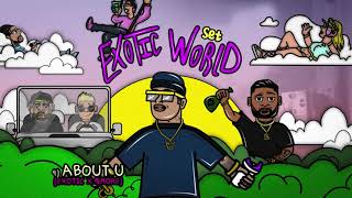 Exotic👑  Exotic World Set Cover Audio [upl. by Margarita]