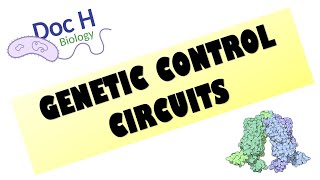 U6L1 Introduction to genetic circuits [upl. by Otrebcire]