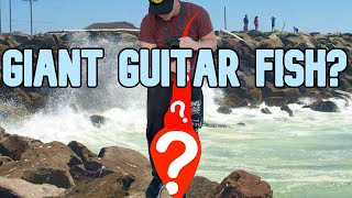 Caught GIANT Guitar Fish  San Diego Bay [upl. by Benedix]