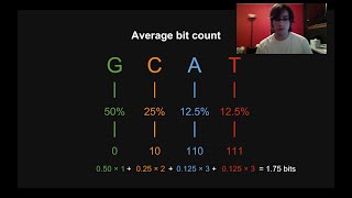 How File Compression Works The Basics [upl. by Aicilev324]