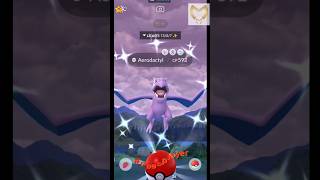 daily incense given to shiny aerodactyl in Pokemon go shorts short dailyincense shiny pokemon [upl. by Latin]