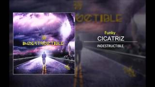 Cicatriz  Funky ft Musiko [upl. by Oigres836]