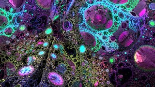 2024 Deep Psychedelic Exploration  MindMelting Fractal Visuals for Spiritual Connection [upl. by Scharf]