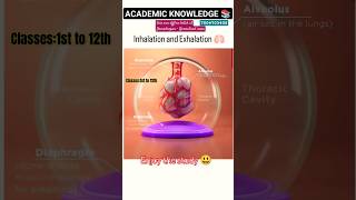 Inhalation and Exhalation 🫁 Mechanism in the Alveoli  Biology ashishsir biology science video [upl. by Ecinej]