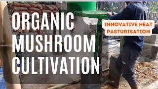 Oyster Mushroom Organic Cultivation  How to grow Pleurotus ostreatus Guide  Complete Training [upl. by Frame]