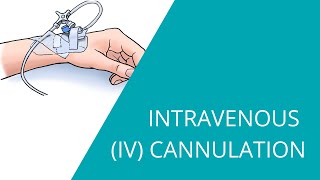 Intravenous IV Cannulation  how to prepare and insert an intravenous fluid line [upl. by Enohsal]