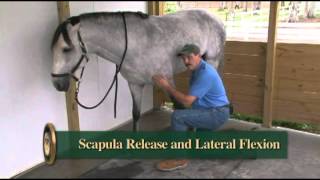 The Basic Scapula Release from Dressage Movements Revealed video [upl. by Saile]