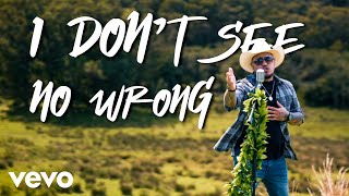 Maoli  I Dont See No Wrong Official Music Video [upl. by Yor187]