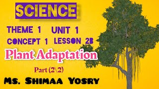 Science  grade 4  Unit one  Concept one  lesson two  Part B  plant adaptations  P2  2025 [upl. by Aneral811]