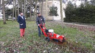 Essai Rogneuse de souche FSI Franskan B20 par Thomas FEQUANT et Xavier MARCHAND [upl. by Ahsielat9]