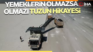 Tuzun Kavurucu Sıcak Altındaki Hasadına Başlandı [upl. by Eiramlatsyrc123]