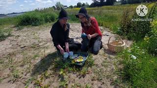 Oogsttip 7 nu in de natuur Herik bloemen een pittige delicatesse [upl. by Charlton]