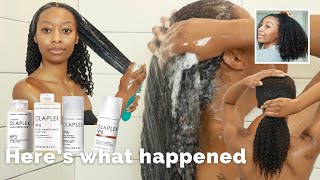 I Used The Olaplex System On My Natural Hair And [upl. by Mackintosh]