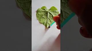 Easy painting ideas with leaf painting art hacks satisfying ytshorts creative yadsirao [upl. by Suilenroc]