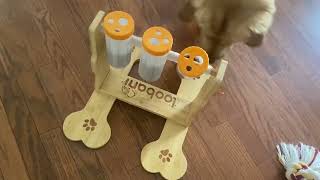 LOOBANI Dog Puzzle Toys Wooden A Few Reasons Why I Love As a High Energy Dog Parent [upl. by Leihcey516]