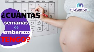 ¿Cómo calcular cuántas semanas de embarazo tengo  Maternarco [upl. by Alejandro]