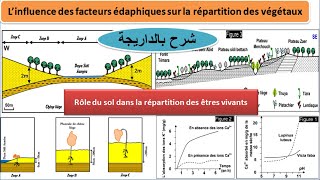 influence des facteurs édaphiques sur la répartition des végétaux TCSF شرح بالداريجة [upl. by Wieren577]