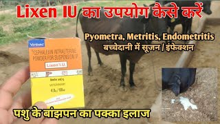 Lixen IU का उपयोग गायभैंसों में कैसे उपयोग करें Metritis Endometritis Pyometra Repeat Breeding [upl. by Airdnaz]