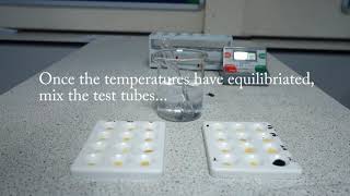 to study the digestion of starch by salivary amylase and effect of pH and temperature on it [upl. by Kemble]