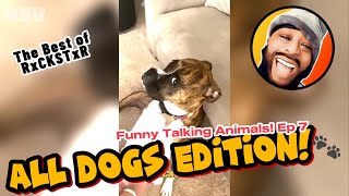 Best of RxCKSTxR Funny Talking Animal Voiceovers Compilation Ep 7 [upl. by Lotty]