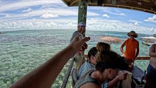 Celebrity Cruise To Mexico Cayman Islands and The Bahamas [upl. by Christos]