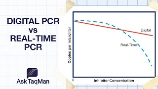 Digital PCR vs Realtime PCR  Ask TaqMan 30 [upl. by Bortz]