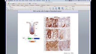 Linking Epigenetics to Metabolism and cancer SIRT6 provides new clues [upl. by Yacov834]