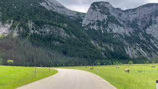 🇦🇹 Cycling towards Eng ⁨Naturpark Karwendel⁩ ⁨Vomp⁩ ⁨Tyrol⁩ ⁨Austria⁩ [upl. by Atined]