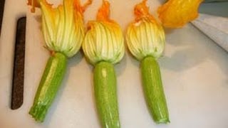 courgettes fleurs mousse rascasse [upl. by Pontius]