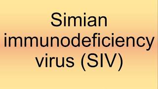 Simian Immunodeficiency Virus SIV Pronunciation  How to Say  How to Pronounce [upl. by Lleraj]