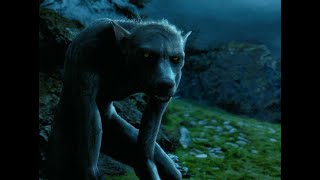 Harry Potter and the Prisoner of Azkaban Professor Lupin turns into werewolf in HINDI [upl. by Shetrit133]