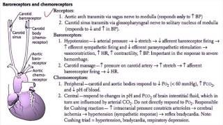 USMLE Cardiovascular System 9  Mean Arterial Pressure Baroreceptors and Chemoreceptors [upl. by Sirej819]