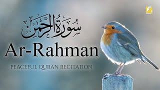 Surah ArRahman سورة الرحمن  This Voice will TOUCH your HEART إن شاء الله  Zikrullah TV [upl. by Gazzo212]