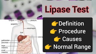 Lipase test  Procedure  Causes [upl. by Adnowat970]