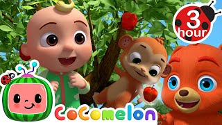 Animals Growing Oranges Apples and Other Fruit What Can Go Wrong  Animal Time  Cocomelon [upl. by Ainatnas]