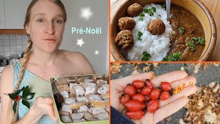 Recette calisson et leckerli vegan  achats chez Picard  forêt  repas HCLF [upl. by Pammie]