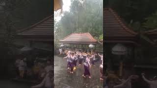 LUAR BIASA 😍👍 menari Rejang Sari di tengah derasnya hujanVideo by Dewirusiana305 [upl. by Accire65]