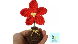 Flor de Pascua a crochet [upl. by Deedee292]