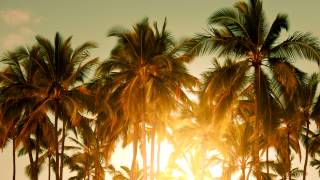 Baz Luhrmann  Wear Sunscreen Mau Kilaueas Tropical Remix [upl. by Essirahs]