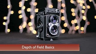 Depth of Field Basics [upl. by Plank]