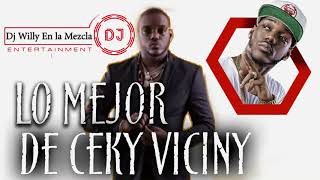 LOS MEJORES DEMBOW MIX DE CEKY VICINY 20202021 [upl. by Daisie]