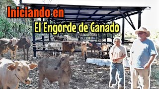 Lo Asesoramos y Lo Iniciamos en la Engorda de Ganado Así lo Hicimos [upl. by Crandale581]